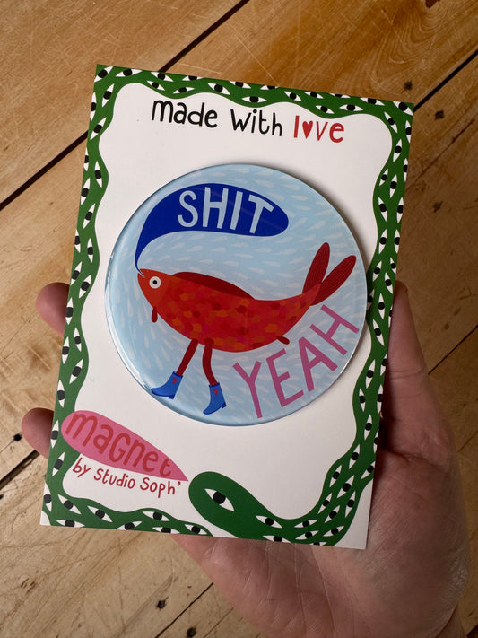 Fridge magnets