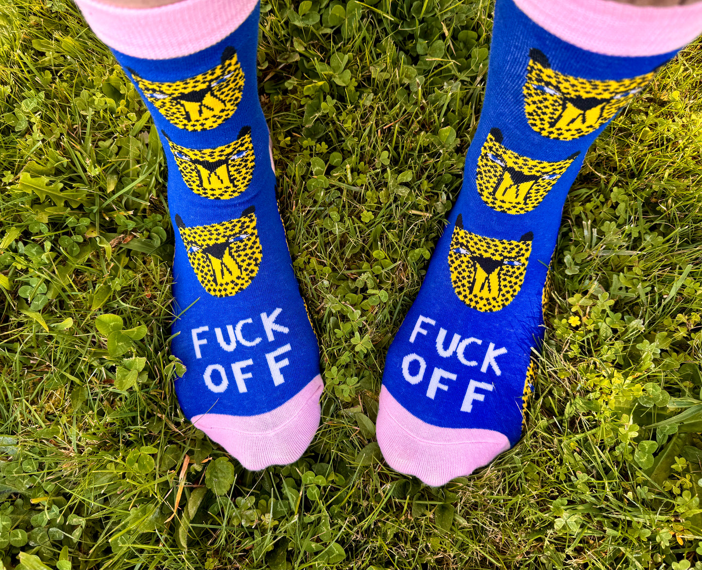 Socks